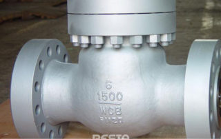 Cast Steel Check Valve