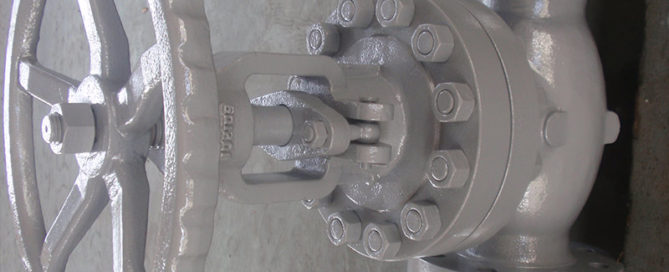 Cast Steel Globe Valve