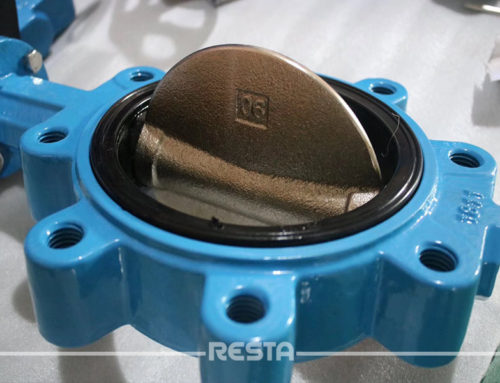 Lug Concentric Butterfly Valve