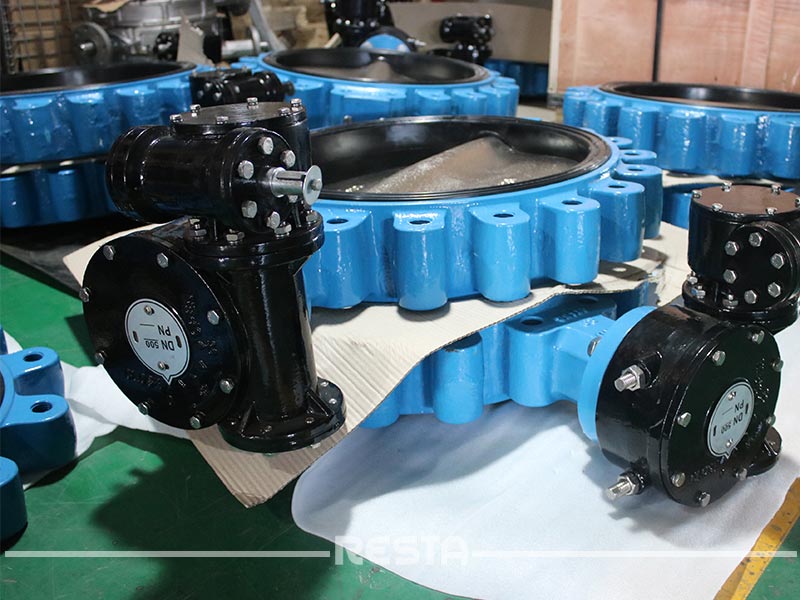 Lug Concentic Butterfly Valve