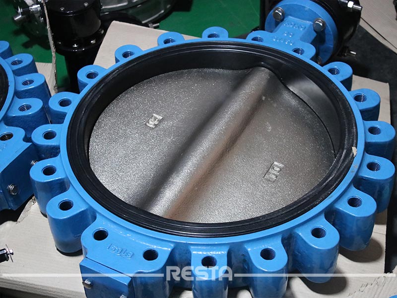 Lug Concentic Butterfly Valve