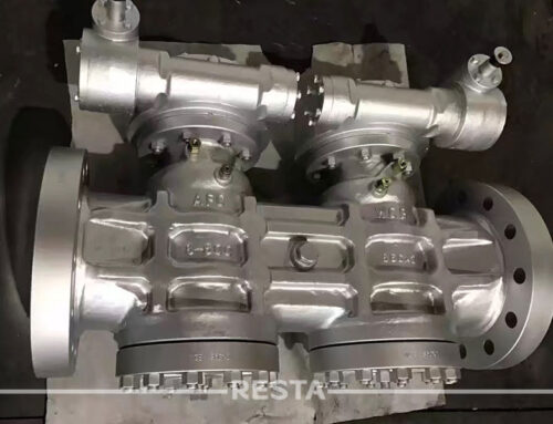 DBB Plug valve