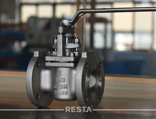 PTFE Sleeve Plug valve