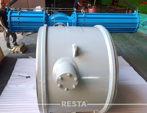 Extraction Check Valve