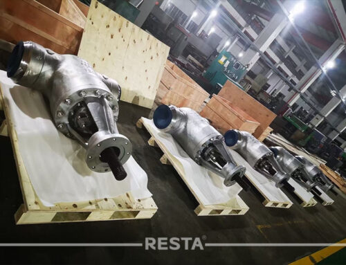 Parallel Slide Gate Valve