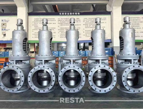 Bellows safety valve